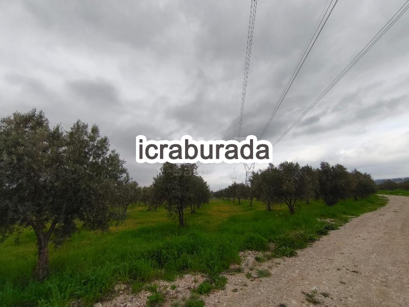 icralık  m2 Tarla Manisa Soma Yirca