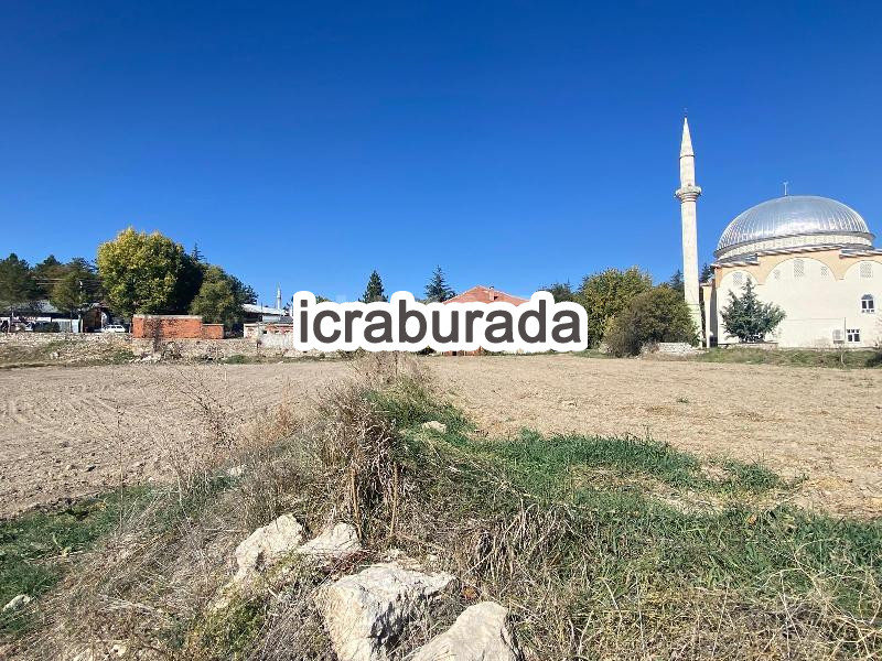 icralık  m2 Diger Konya Beyşehir Yenidoğan/yenice