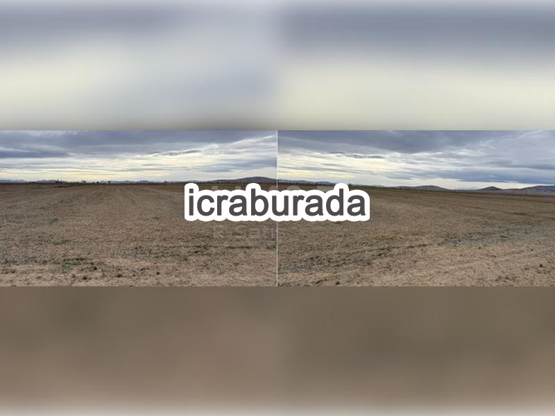 icralık  m2 Tarla Konya Çumra Alibeyhüyüğü