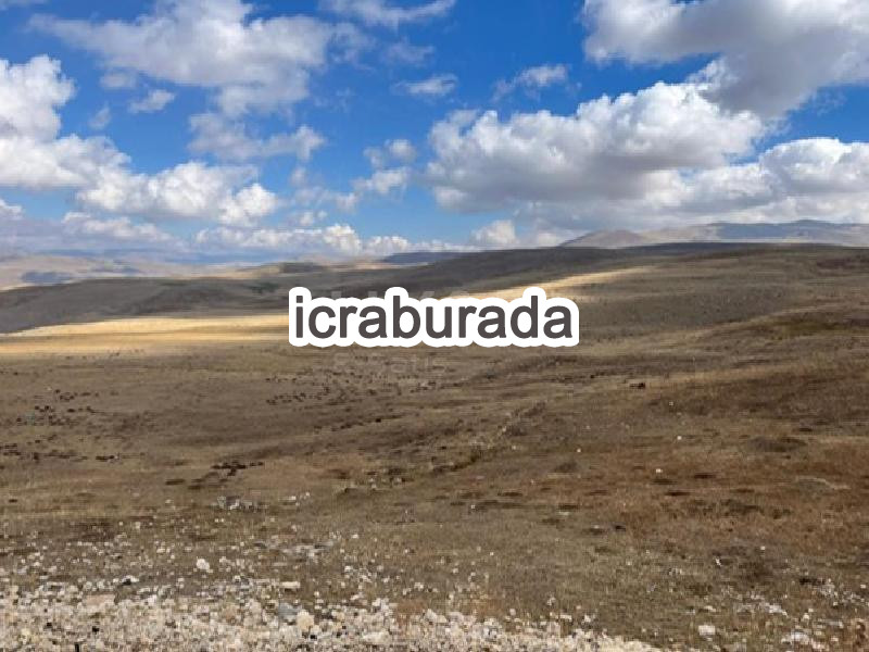icralık  m2 Tarla Erzurum Çat Soğukpinar