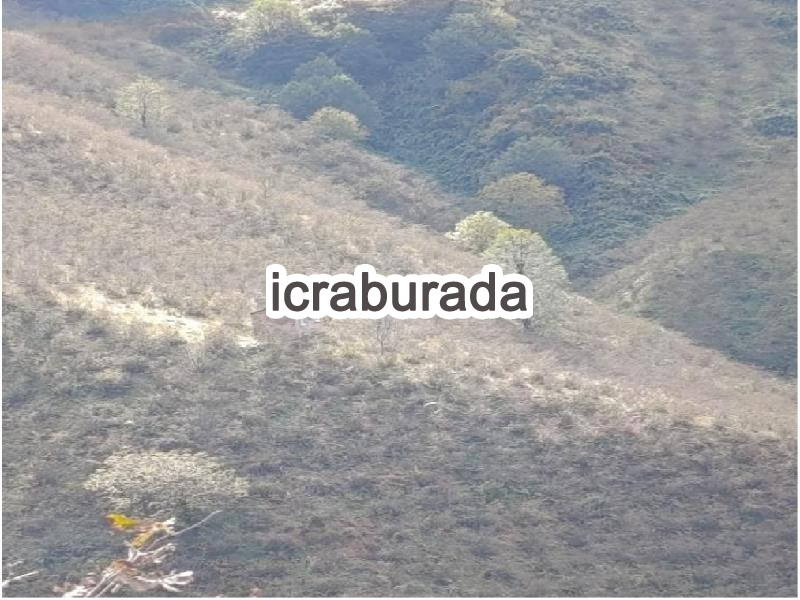 icralık  m2 Diger Ordu Altınordu Ortaköy