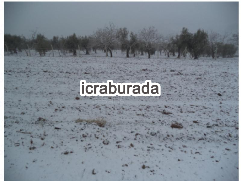 icralık  m2 Arsa Gaziantep Şahinbey Narlica