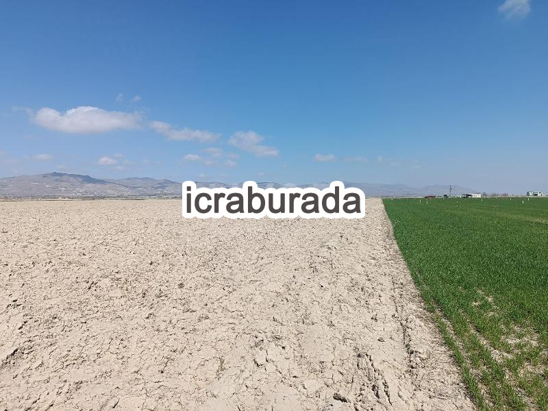 icralık  m2 Tarla Kayseri Yeşilhisar Kesik