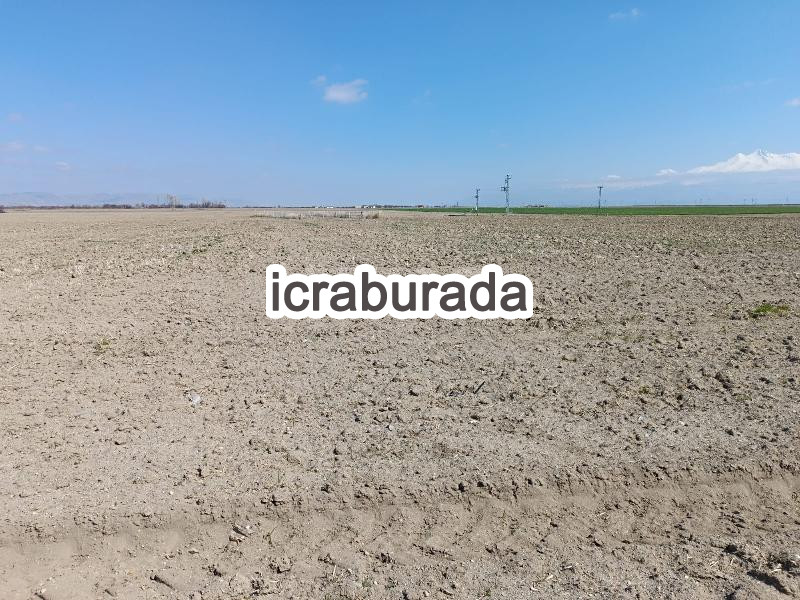 icralık  m2 Tarla Belirtilmedi Belirtilmedi Belirtilmedi