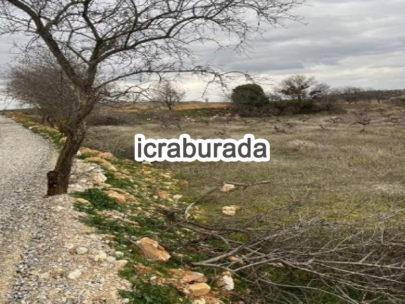 icralık  m2 Bag Denizli Bekilli Çoğaşli
