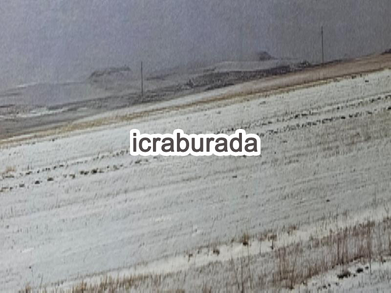 icralık  m2 Tarla Kars Selim Çarşi