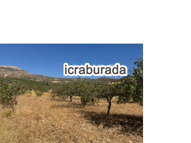 icralık  m2 Bag Adıyaman Besni Burunçayir