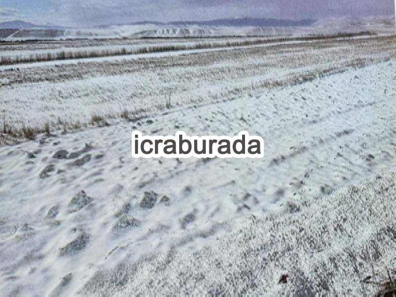 icralık  m2 Tarla Kars Selim Çarşi