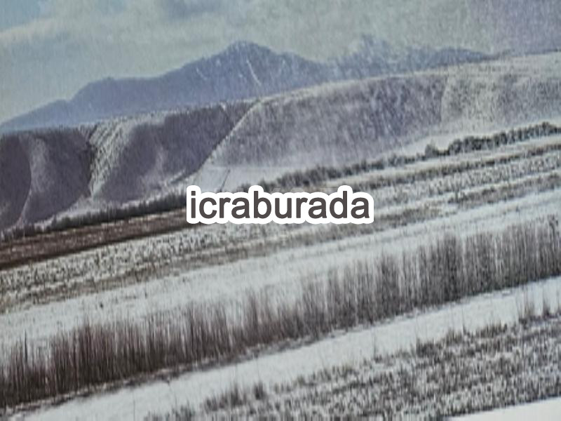 icralık  m2 Tarla Kars Selim Çarşi