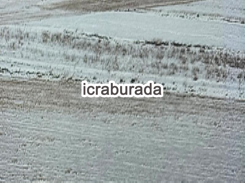 icralık  m2 Tarla Kars Selim Cumhuriyet