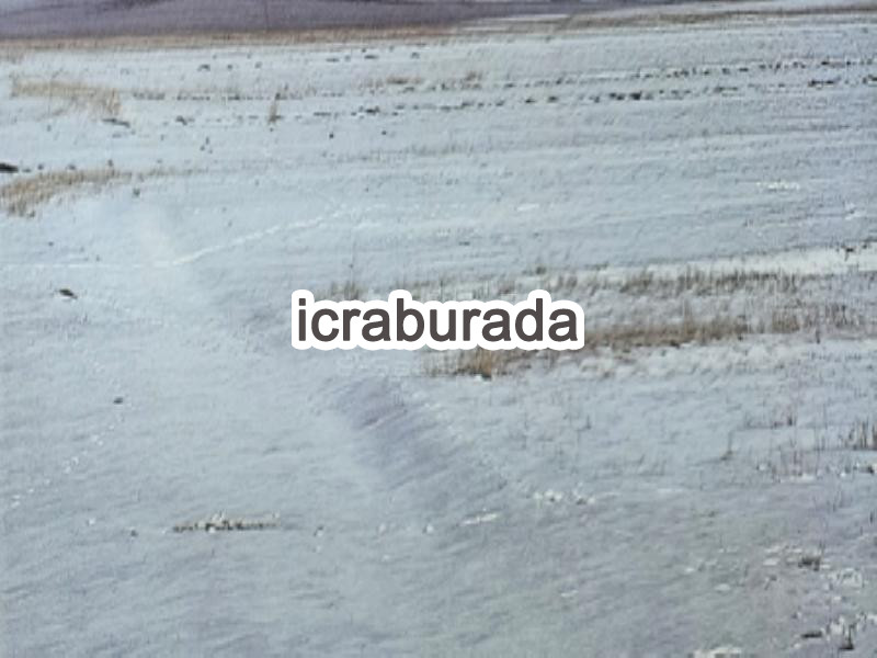 icralık  m2 Tarla Kars Selim Çarşi