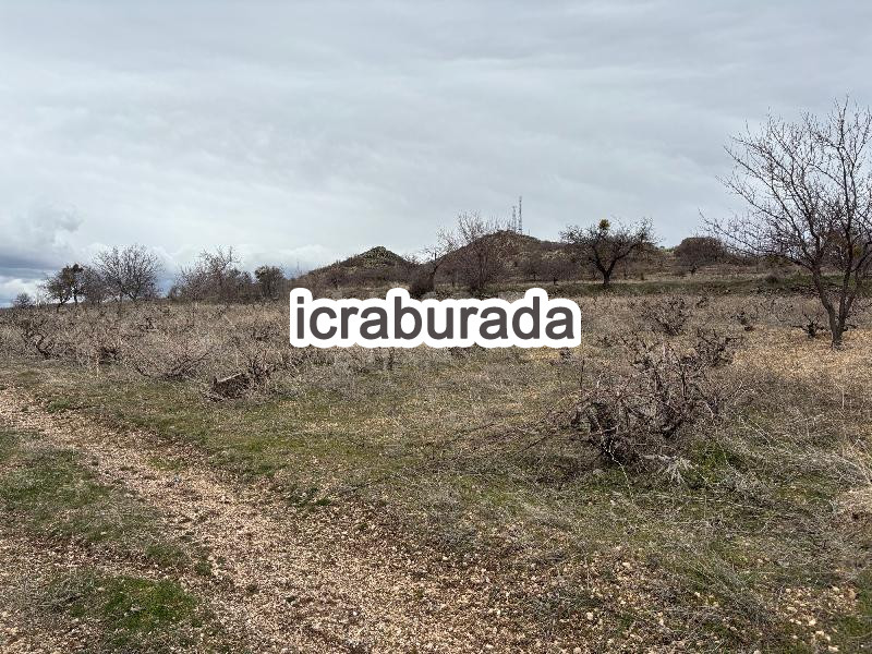icralık  m2 Bag Nevşehir Merkez Göre Çayirlik