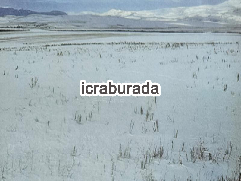 icralık  m2 Tarla Kars Selim Cumhuriyet