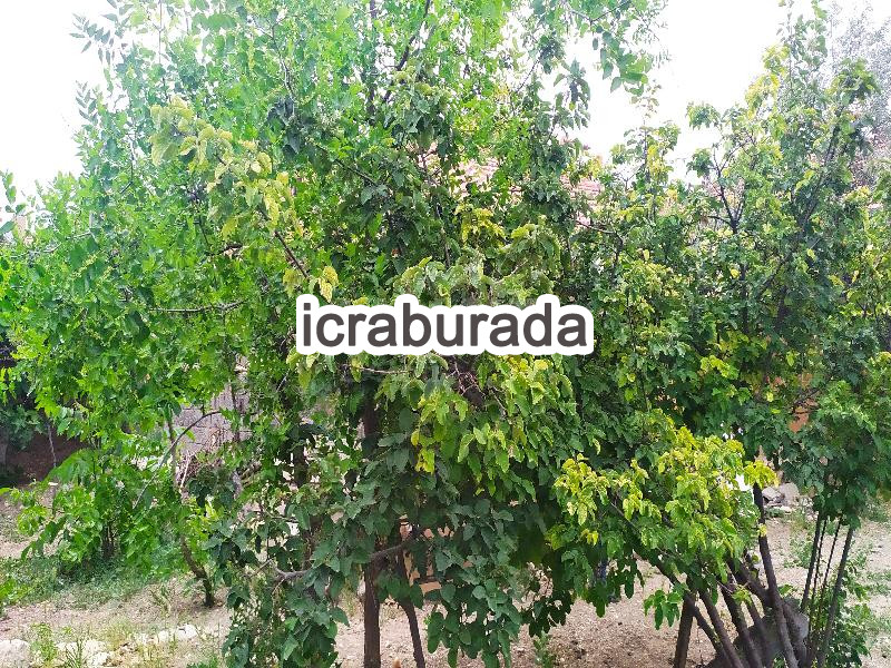 icralık  m2 Kargir Burdur Karamanlı Zafer