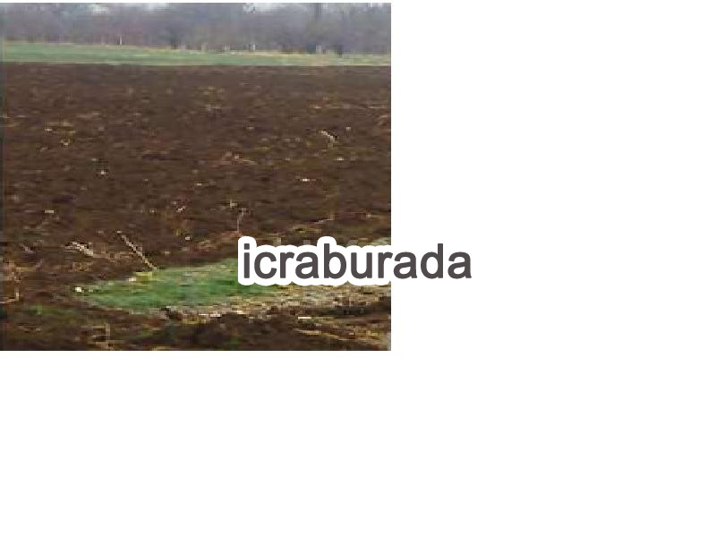 icralık  m2 Tarla Isparta Şarkikaraağaç Yakaemir