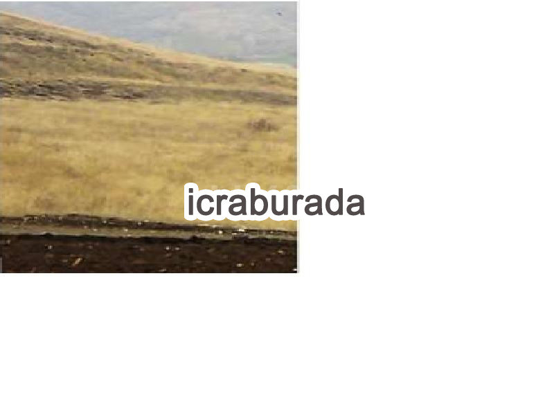 icralık  m2 Tarla Isparta Şarkikaraağaç Yakaemir