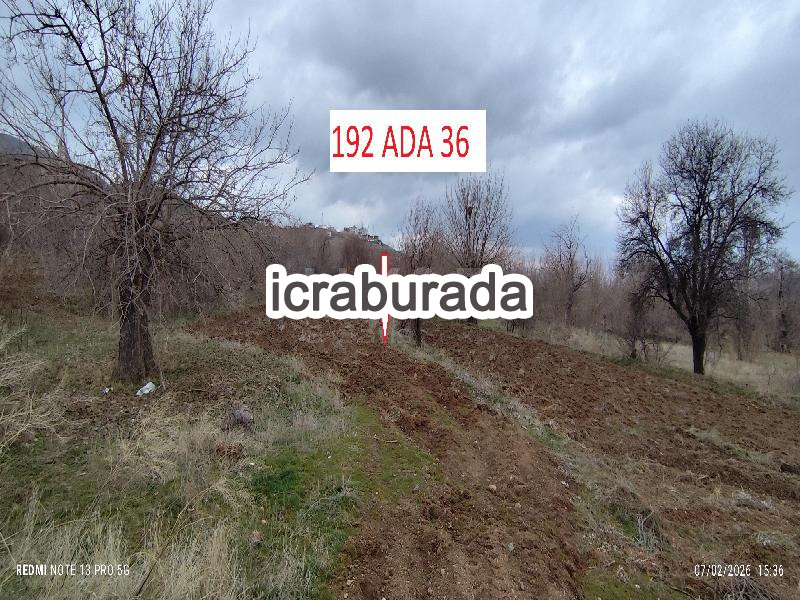 icralık  m2 Bag Elazığ Merkez Gözebaşi (Kinederiç)