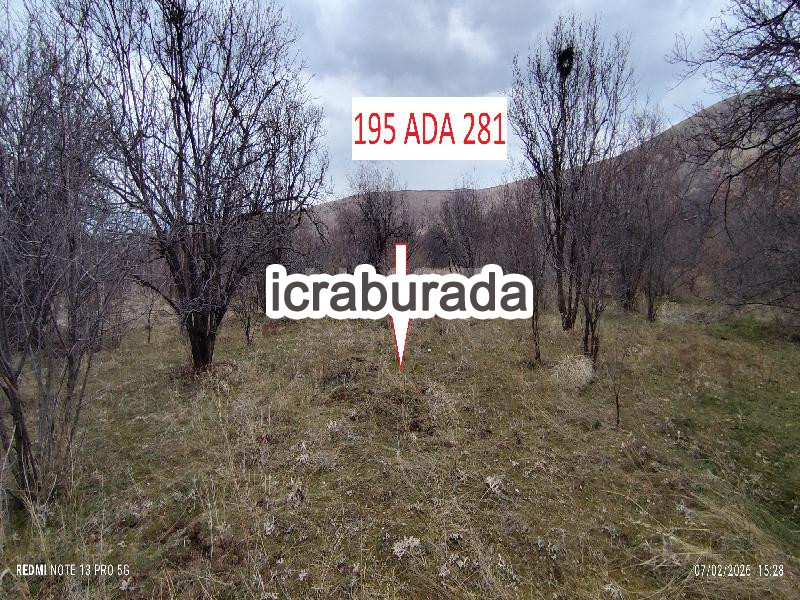 icralık  m2 Bag Elazığ Merkez Gözebaşi (Kinederiç)