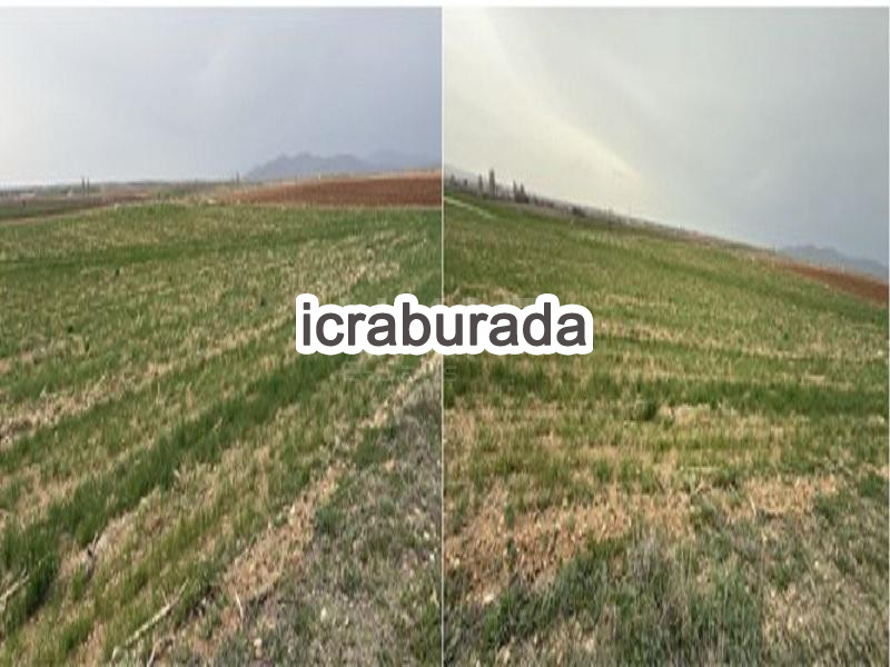 icralık  m2 Tarla Konya Çumra Dineksaray