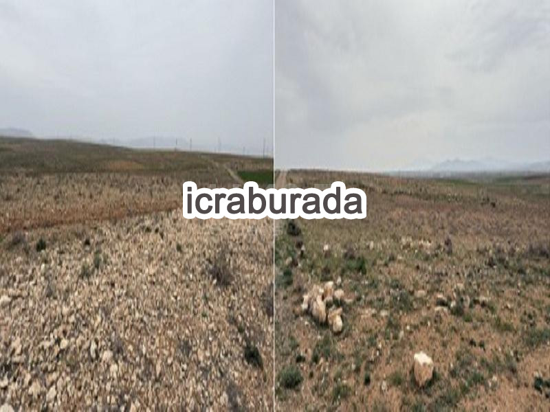 icralık  m2 Tarla Konya Çumra Dineksaray