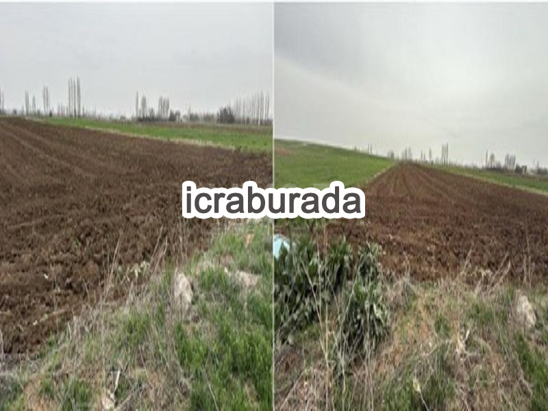 icralık  m2 Tarla Konya Çumra Dineksaray