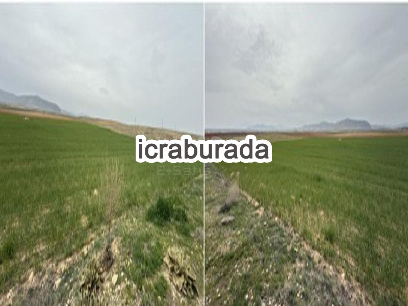 icralık  m2 Tarla Konya Çumra Dineksaray