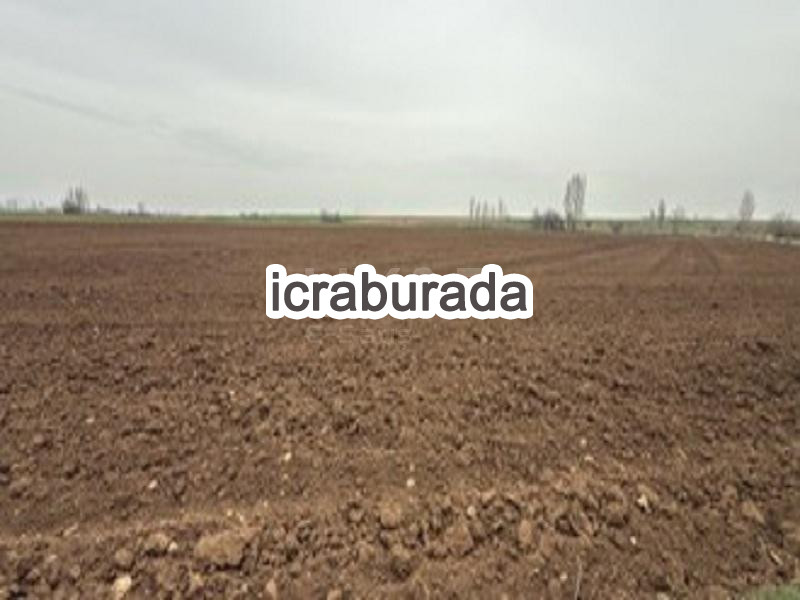 icralık  m2 Tarla Konya Çumra Dinek