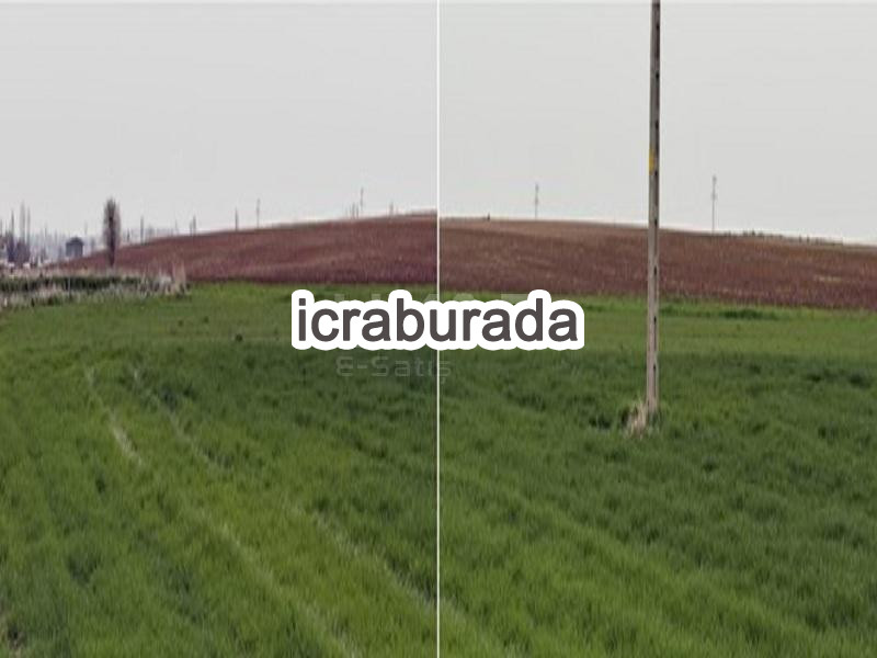 icralık  m2 Tarla Konya Çumra Dineksaray