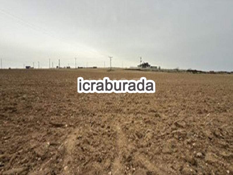 icralık  m2 Tarla Konya Çumra Dineksaray