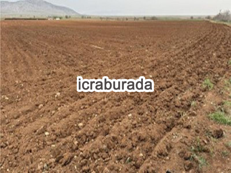 icralık  m2 Tarla Konya Çumra Dinek