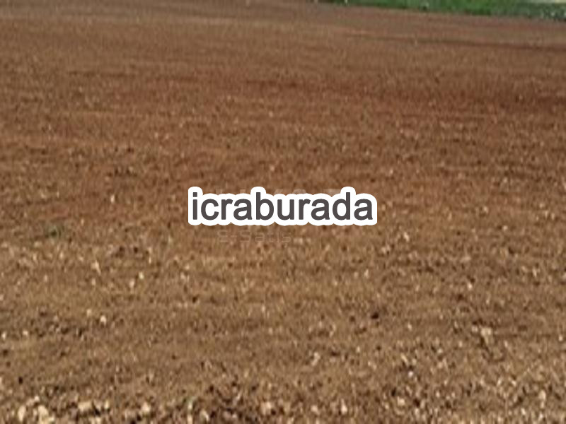 icralık  m2 Tarla Konya Çumra Dineksaray