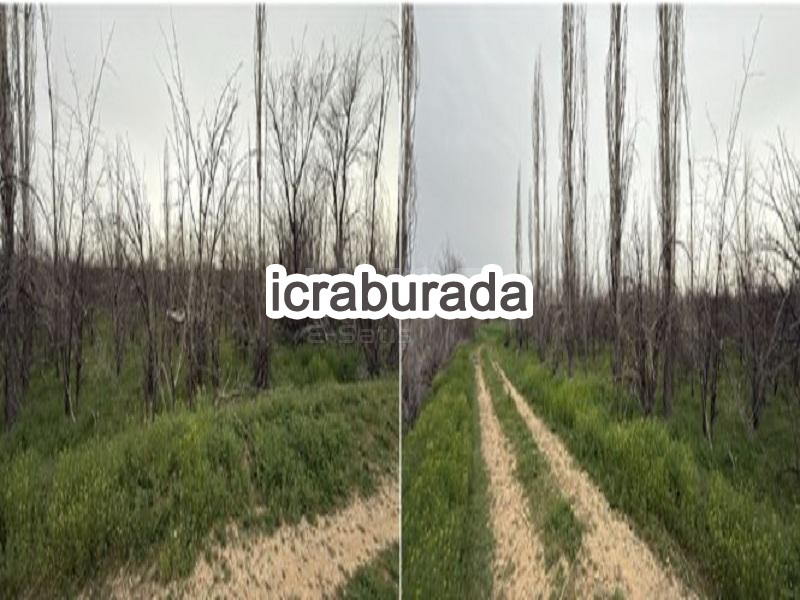 icralık  m2 Tarla Konya Çumra Dineksaray