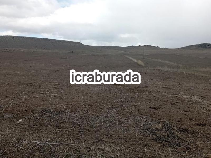 icralık  m2 Tarla Niğde Merkez Edikli