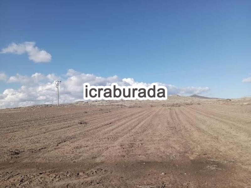 icralık  m2 Tarla Niğde Merkez Edikli