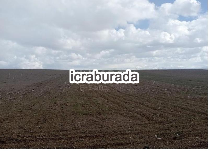 icralık  m2 Tarla Niğde Merkez Edikli
