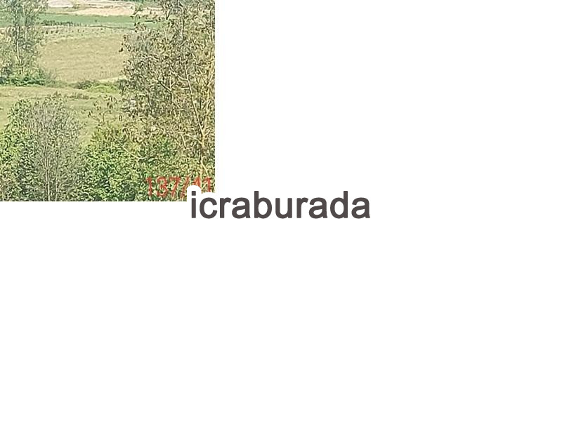 icralık  m2 Tarla Zonguldak Ereğli Soğanliyörük
