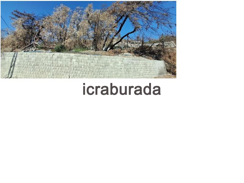 icralık  m2 Diger Hatay Antakya Karaali