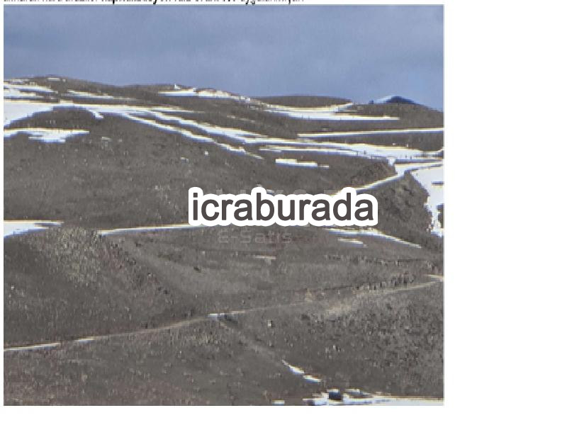 icralık  m2 Tarla Erzurum Tortum Kireçli