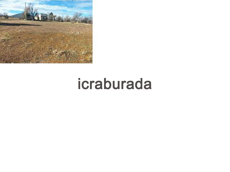 icralık  m2 Tarla Belirtilmedi Belirtilmedi Belirtilmedi