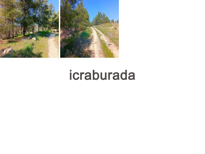 icralık  m2 Tarla Denizli Sarayköy Tepeköy