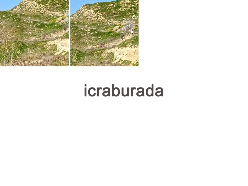 icralık  m2 Tarla Denizli Sarayköy Tepeköy