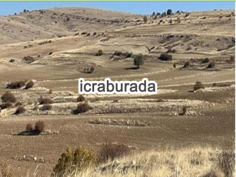 icralık  m2 Tarla Yozgat Çayıralan Fahrali