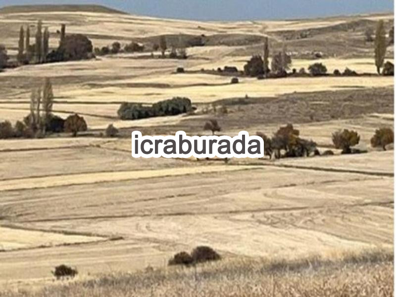 icralık  m2 Tarla Yozgat Çayıralan Fahrali