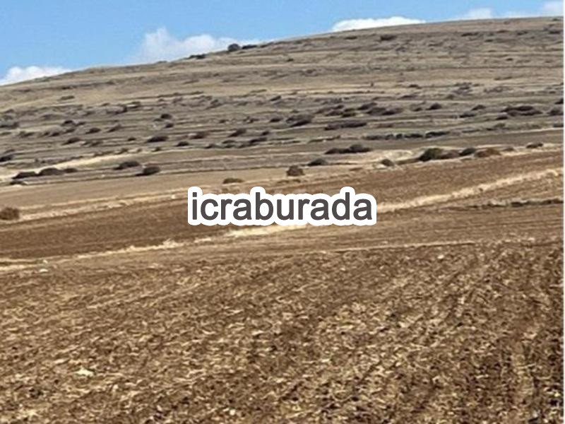 icralık  m2 Tarla Yozgat Çayıralan Fahrali