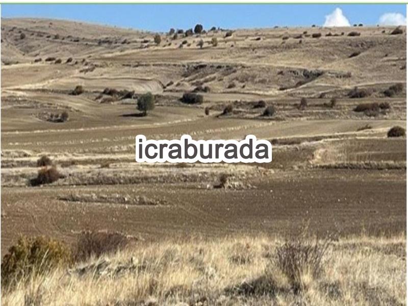 icralık  m2 Tarla Yozgat Çayıralan Fahrali