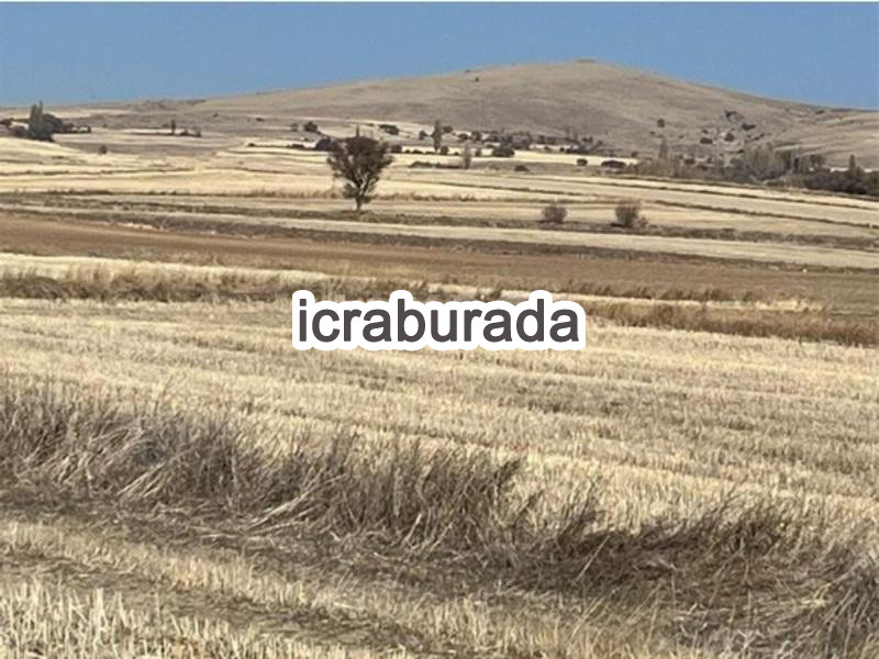 icralık  m2 Tarla Yozgat Çayıralan Fahrali