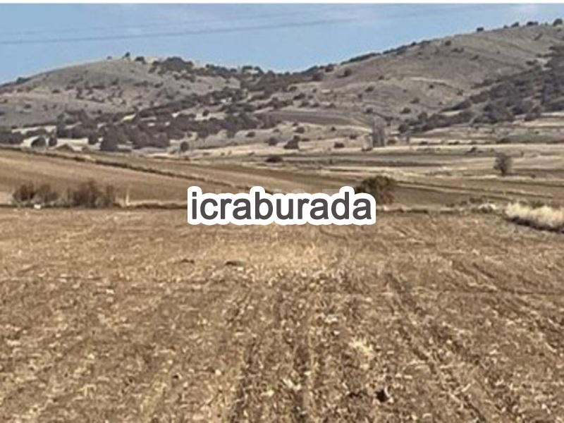 icralık  m2 Tarla Yozgat Çayıralan Fahrali