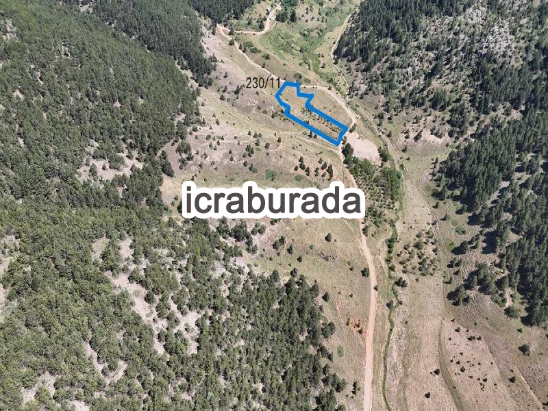 icralık  m2 Tarla Konya Doğanhisar Mehmet Akif Ersoy