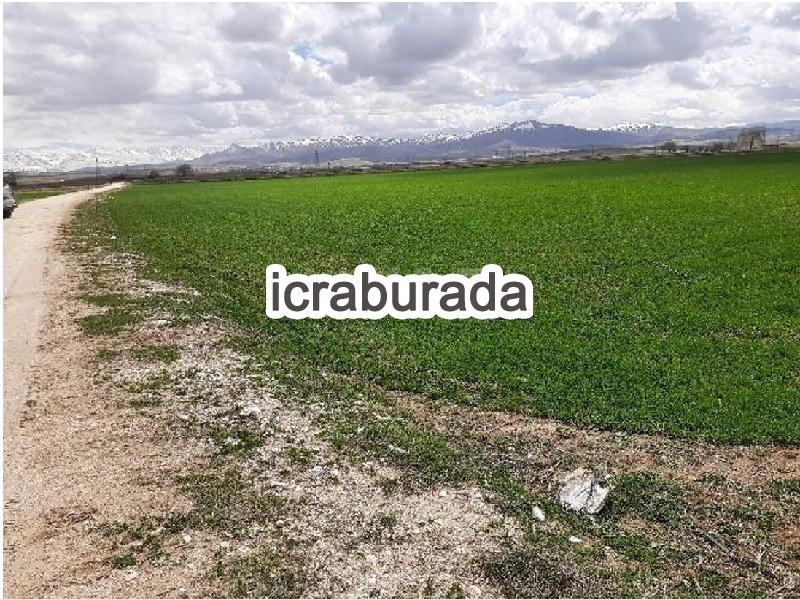 icralık  m2 Tarla Niğde Merkez Konakli