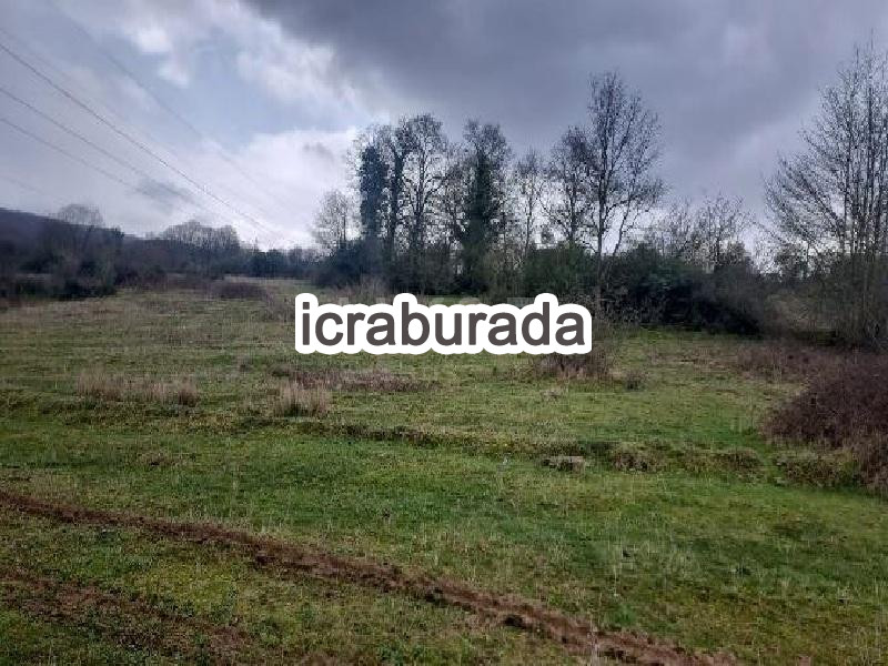 icralık  m2 Tarla İstanbul Şile Teke